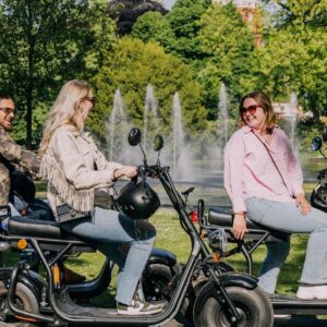 E-chopper tour voor 4 personen (vertrek vanuit Oosterhout)