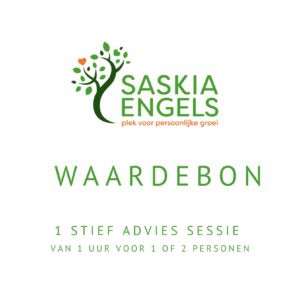 Stief Advies gesprek 1 uur